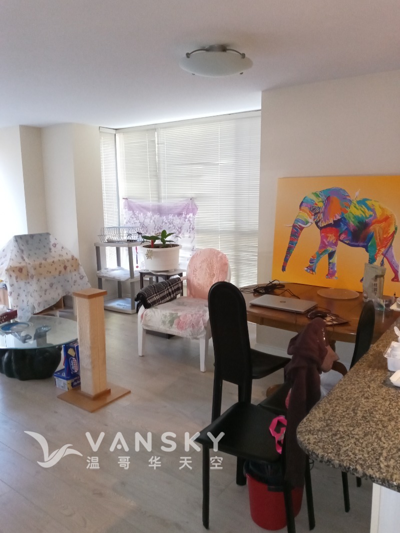 250228204528_living room.jpg